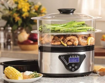 a home food steamer